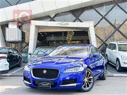 جاكوار XF